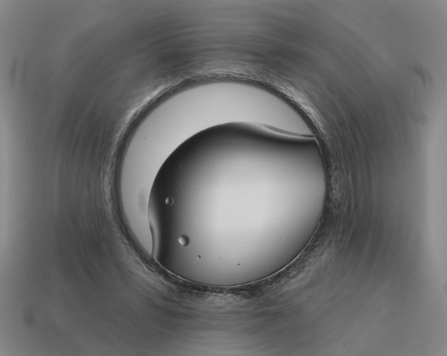 X0000114440399200911061708