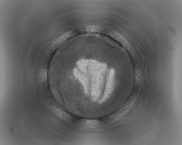 X0000114440401200911061708