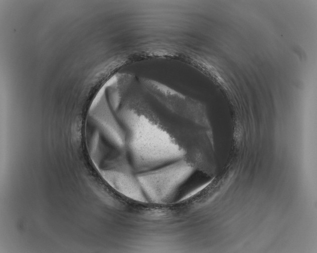 X0000114440402200911061708