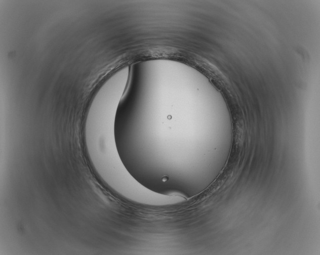 X0000114440405200911061708