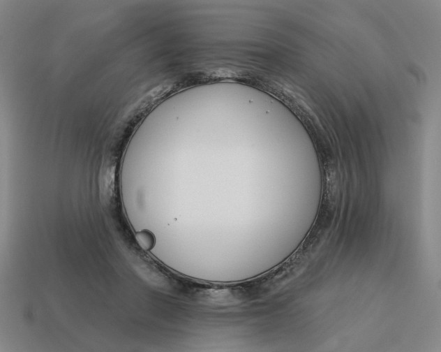 X0000114440406200911061708