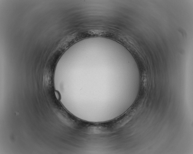 X0000114440408200911061708