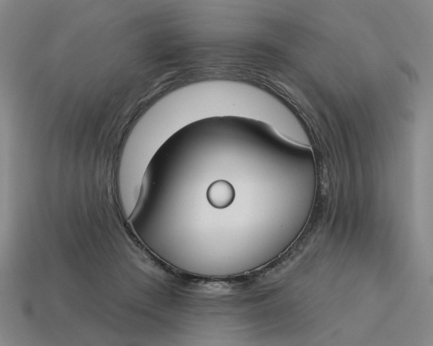 X0000114440409200911061708