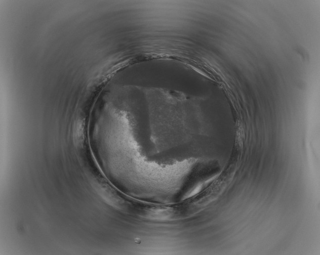 X0000114440410200911061708