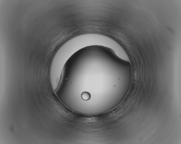 X0000114440411200911061708