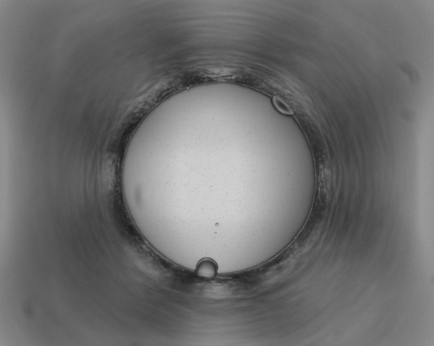 X0000114440412200911061708