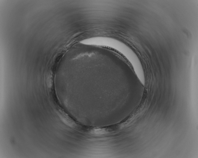 X0000114440413200911061708