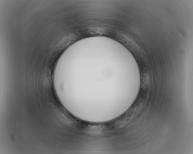 X0000114440414200911061708