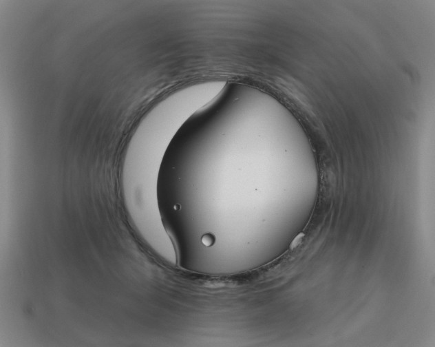 X0000114440415200911061708