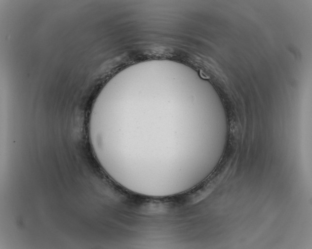 X0000114440416200911061708