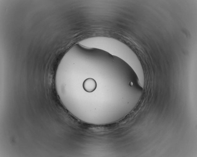 X0000114440417200911061708