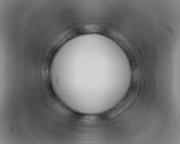 X0000114440418200911061708