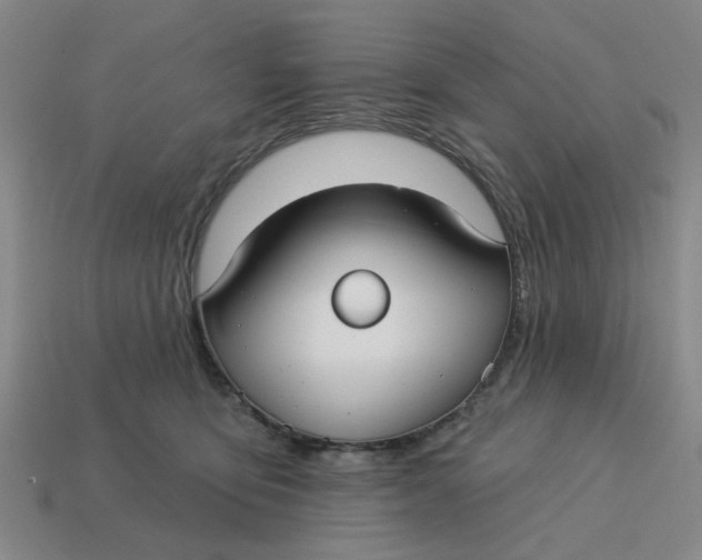 X0000114440419200911061708