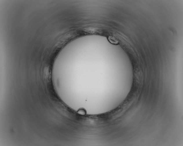 X0000114440420200911061708