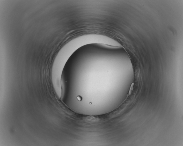 X0000114440421200911061708