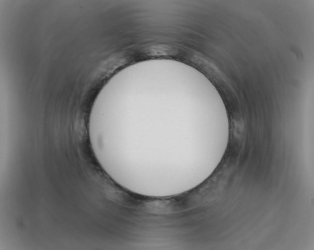 X0000114440422200911061708