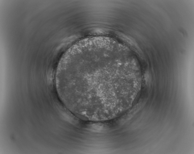 X0000114440423200911061708