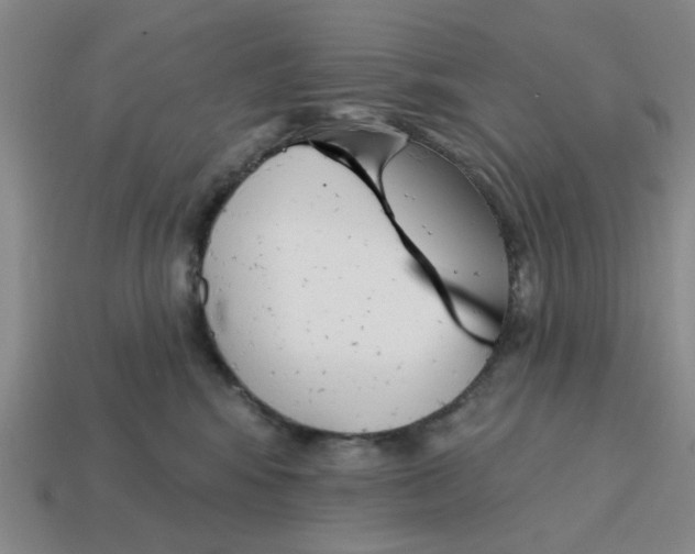 X0000114440424200911061708