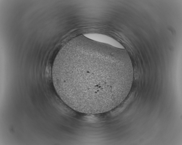 X0000114440425200911061708