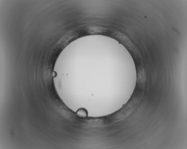 X0000114440426200911061708