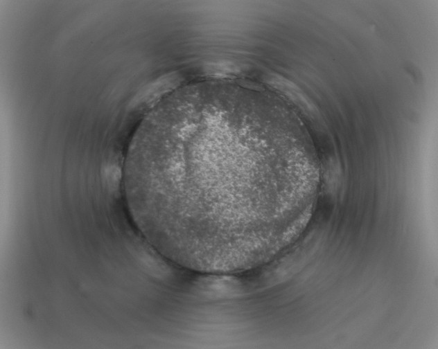 X0000114440427200911061708