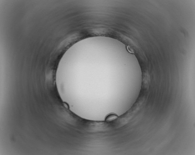 X0000114440428200911061708