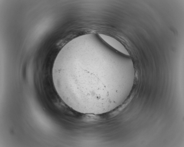 X0000114440429200911061708