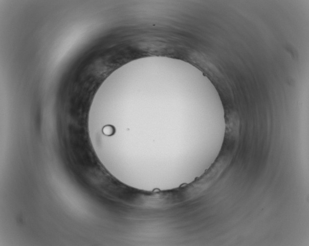 X0000114440430200911061708