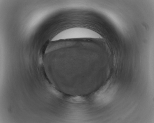 X0000114440431200911061708