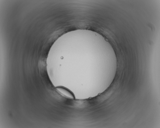 X0000114440432200911061708