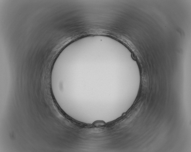 X0000114440433200911061707