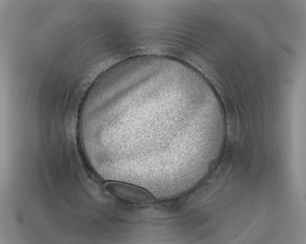 X0000114440434200911061707