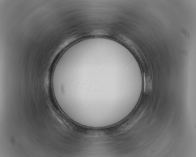 X0000114440435200911061707