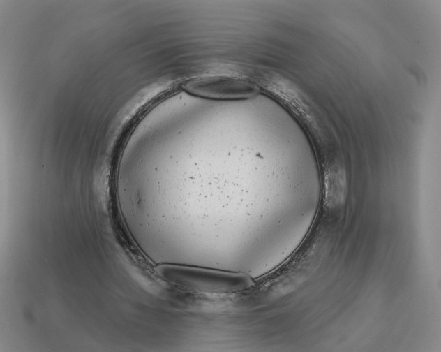 X0000114440436200911061707