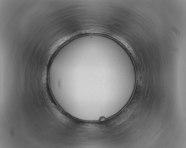 X0000114440437200911061707