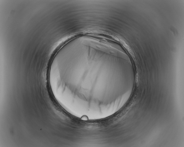 X0000114440438200911061707