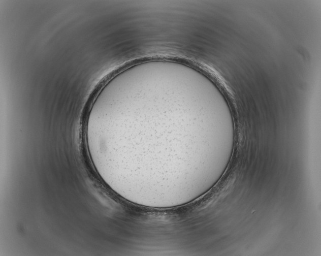 X0000114440439200911061707