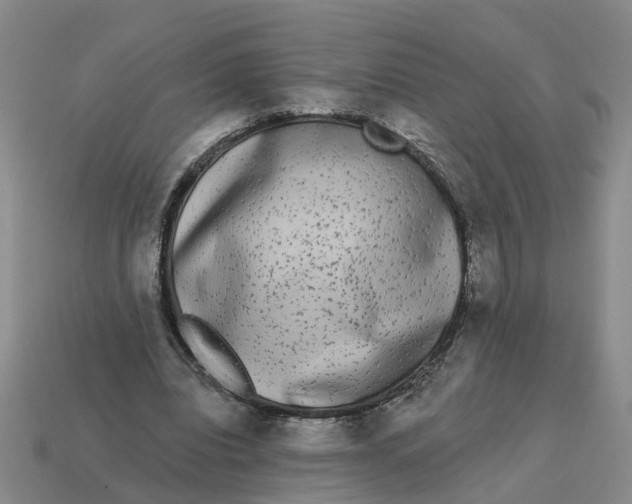 X0000114440440200911061707