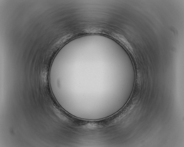 X0000114440441200911061707