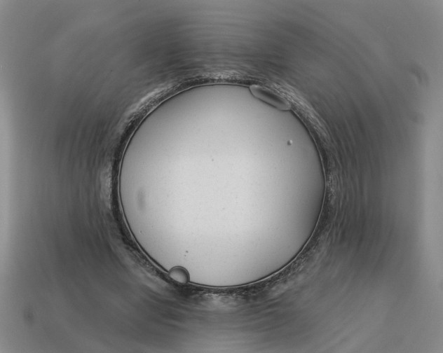 X0000114440442200911061707