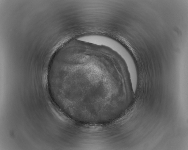 X0000114440443200911061707