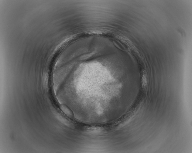 X0000114440444200911061707