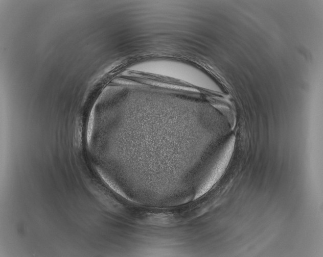 X0000114440446200911061707