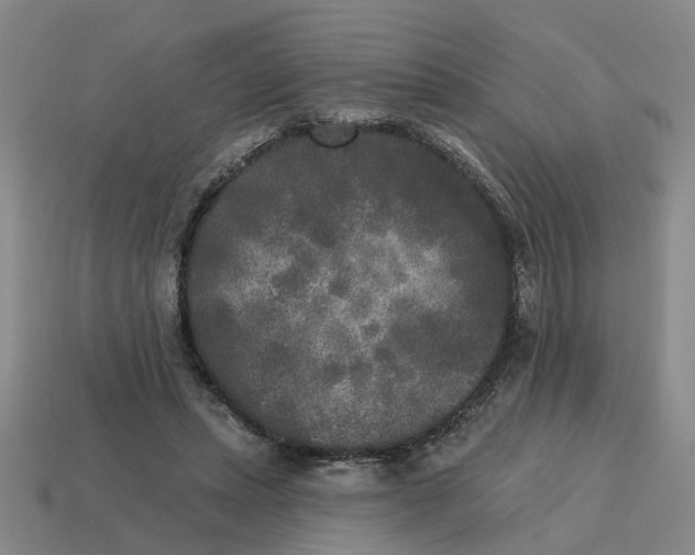 X0000114440447200911061707