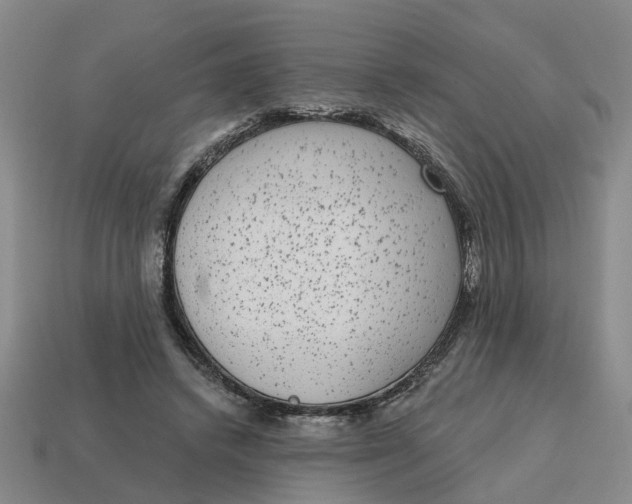 X0000114440448200911061707