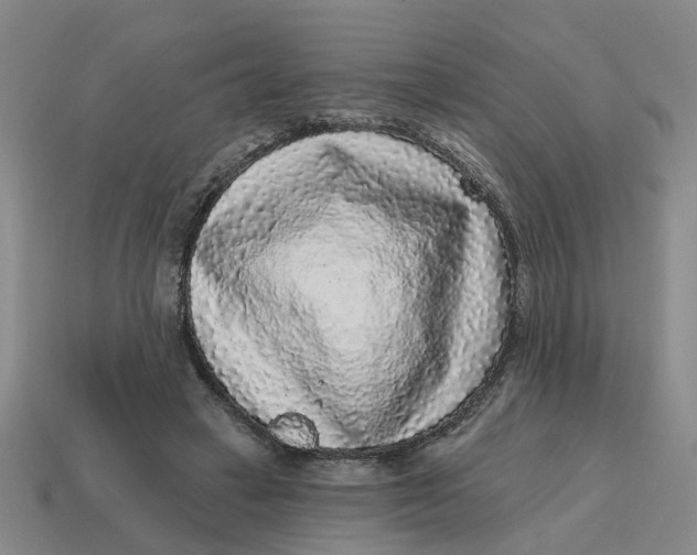 X0000114440449200911061707