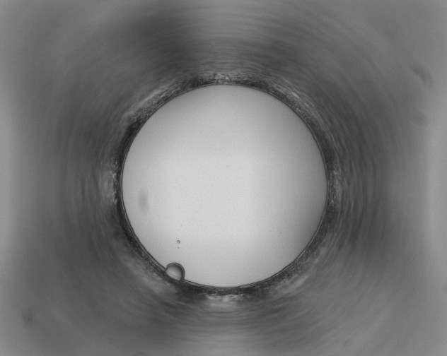 X0000114440450200911061707