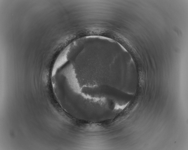 X0000114440451200911061707