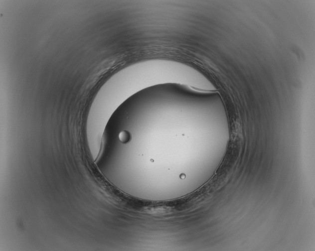 X0000114440452200911061707