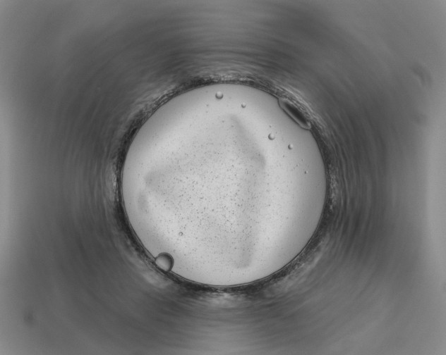 X0000114440453200911061707